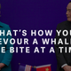 Wang sizes up former US secretary of state Hillary Clinton.